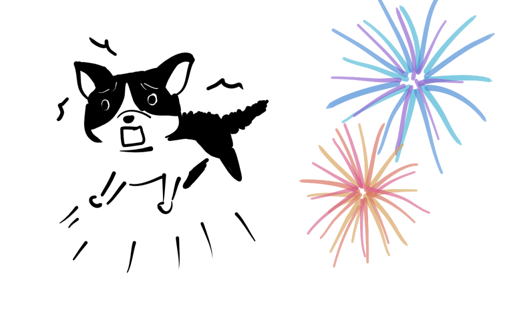 fireworks